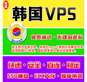 韩国VPS机房4096M国外，网站seo排名公司